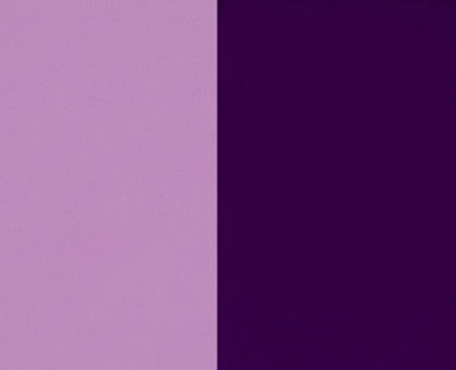 Chameleon Violet
